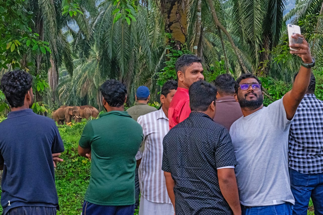  Tourists in Athirapally
