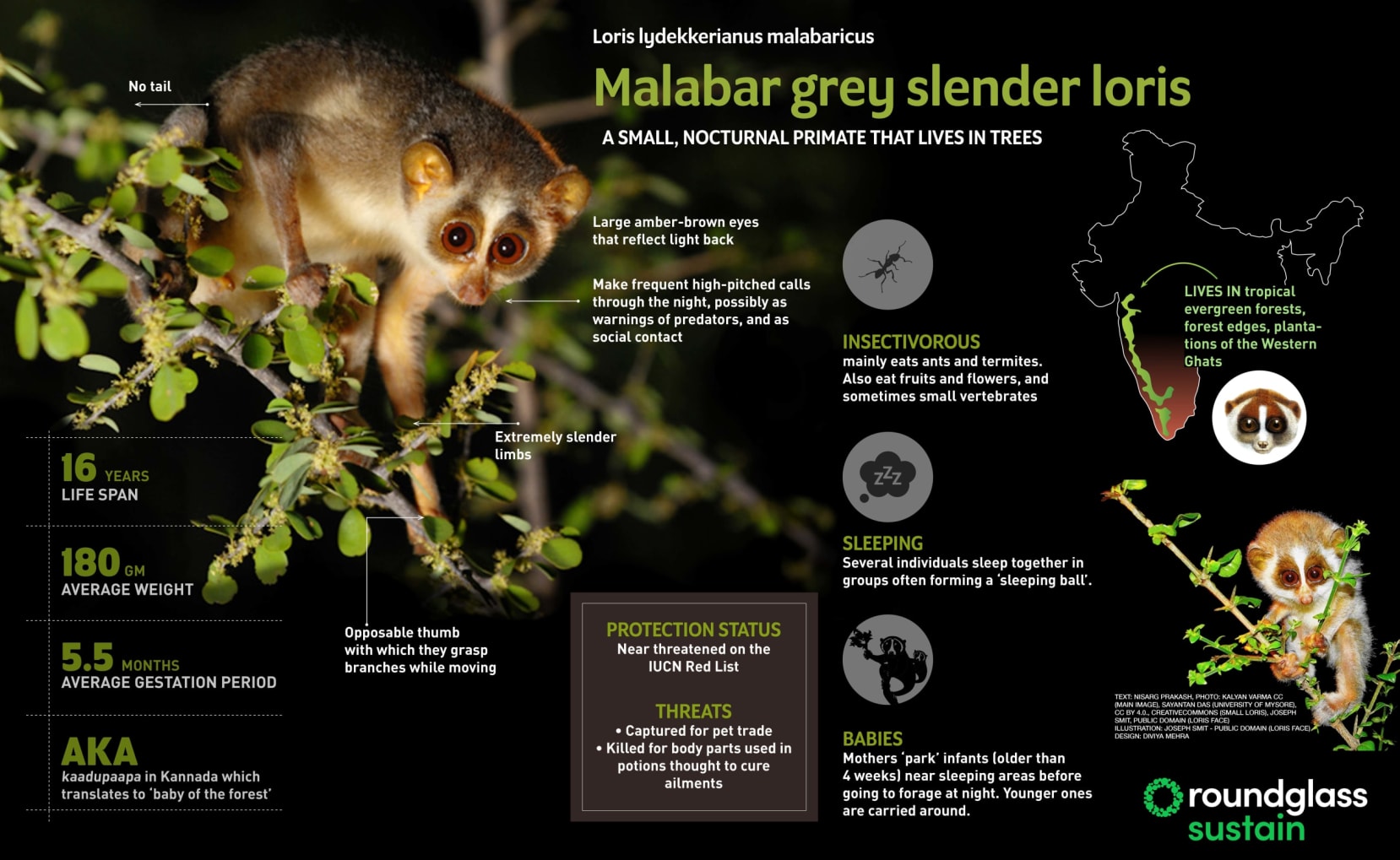Infographic on Malabar grey 