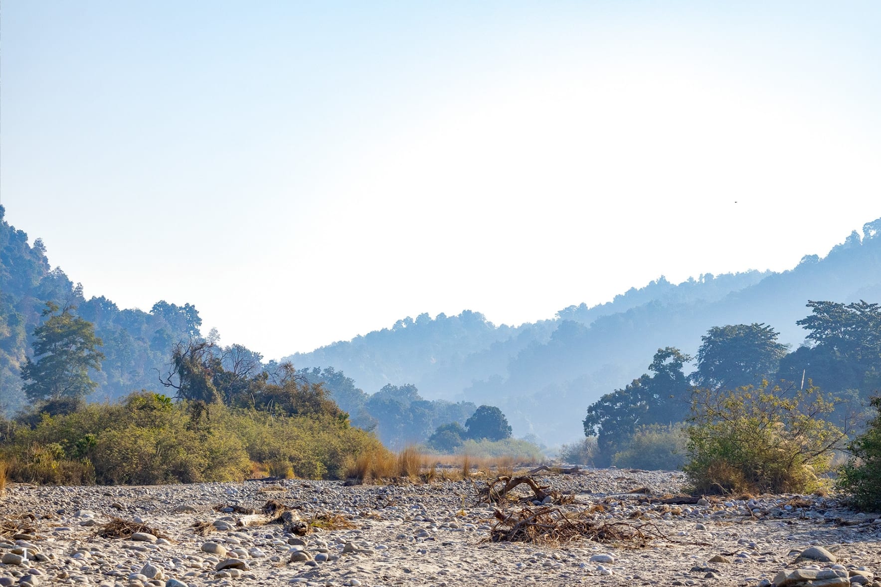 Rajaji National Park