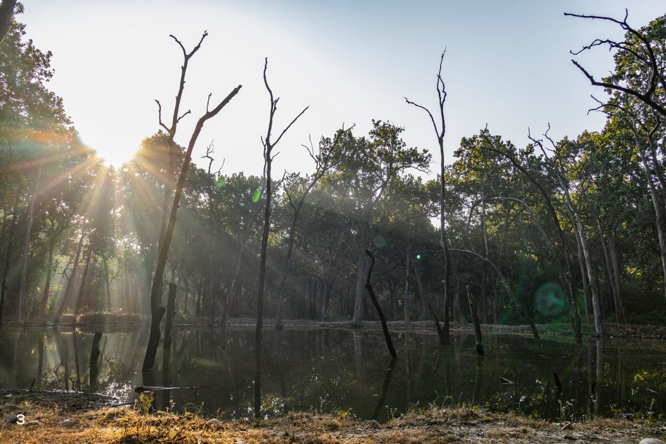 Rajaji National Park