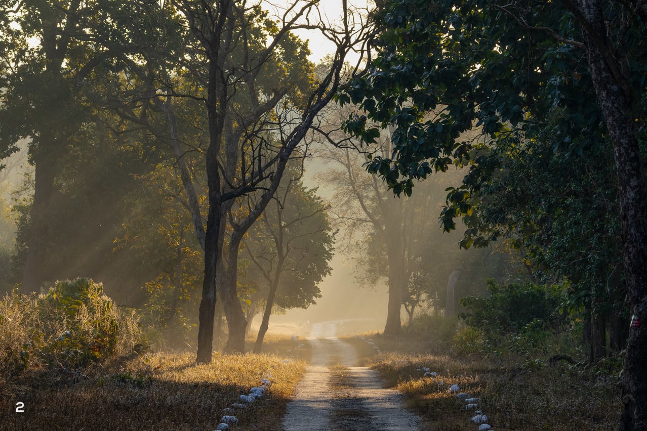 Rajaji National Park