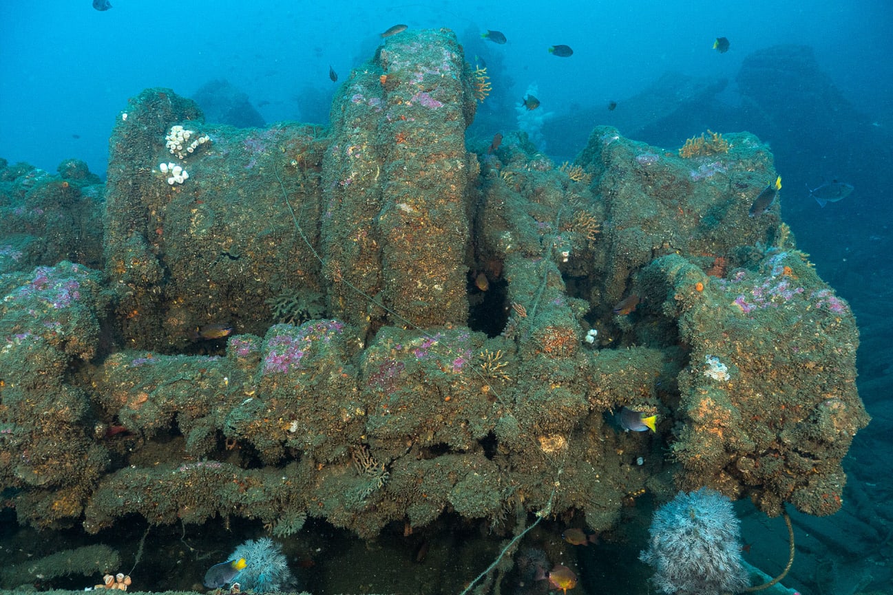 Shipwreck on the coast of Kerala