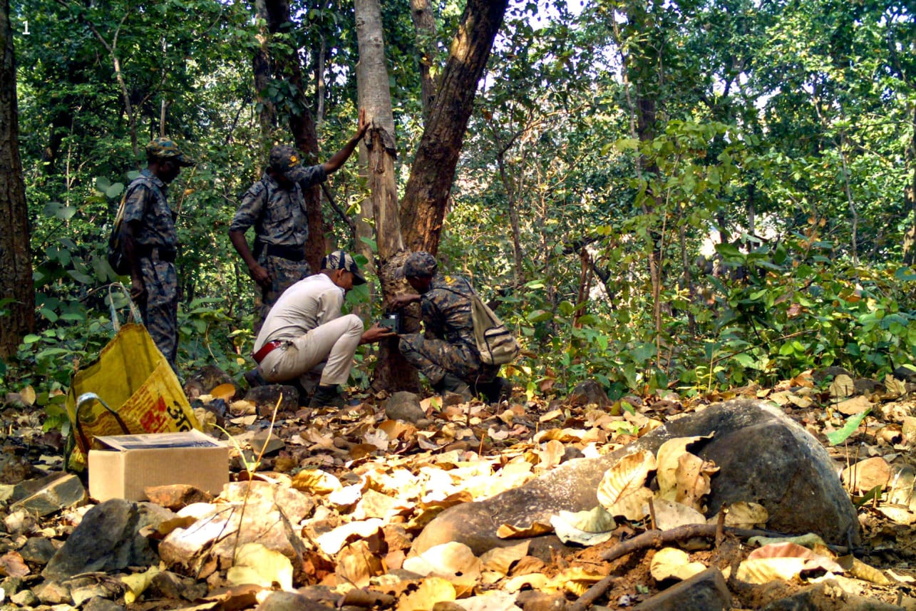 Talabandha Wildlife Range in Mayurbhanj.