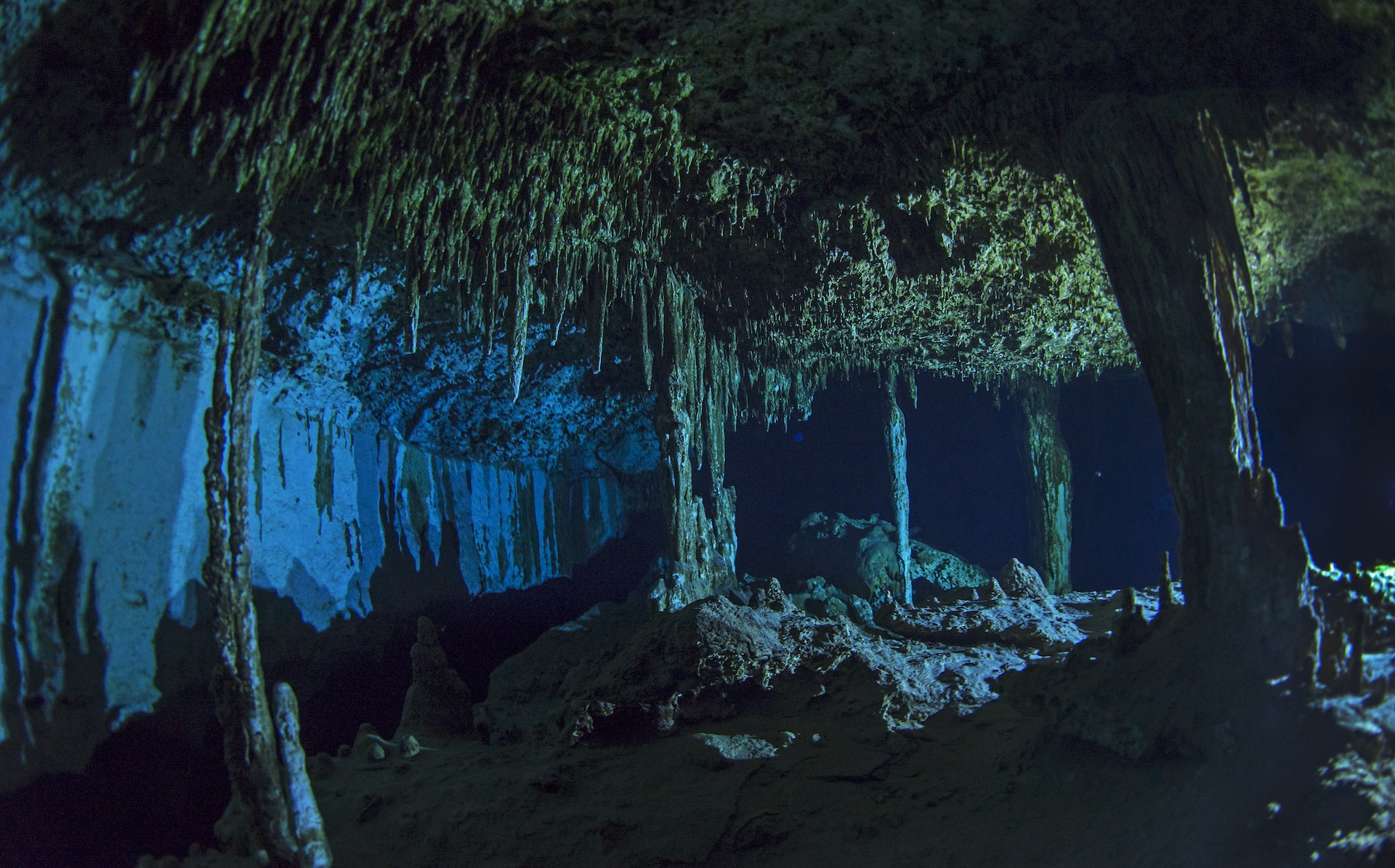 Hidden Chambers: The Yucatan’s Stunning Cenotes