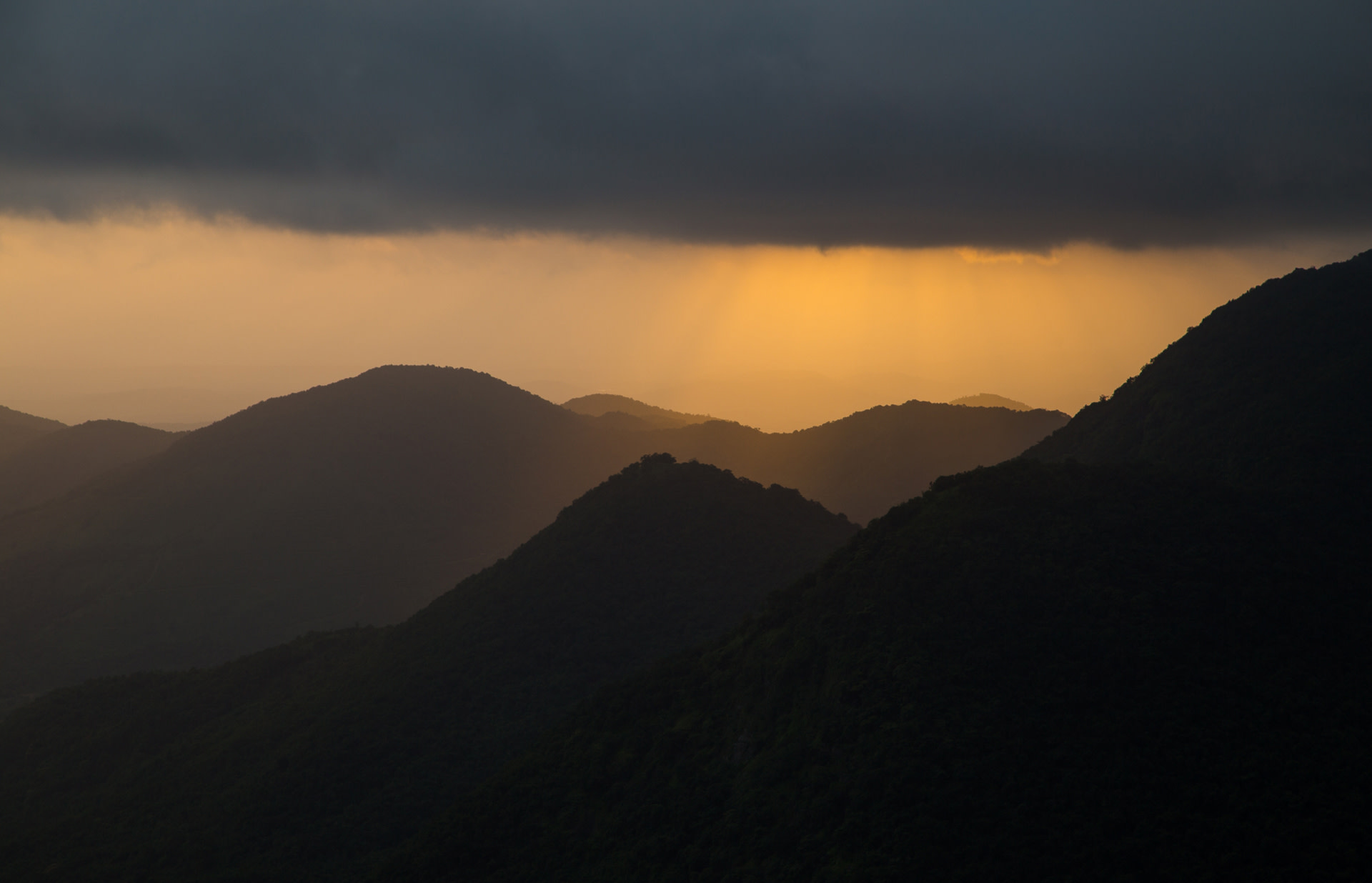 When the Monsoon Awakens Agumbe