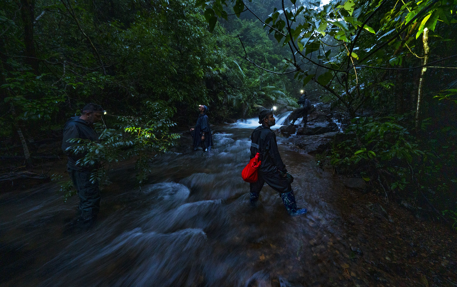 Behind the Lens: Shooting the Residents of a Rainforest