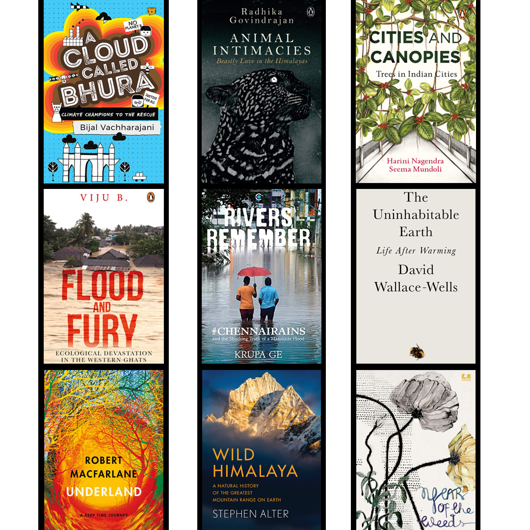 book round up 2019