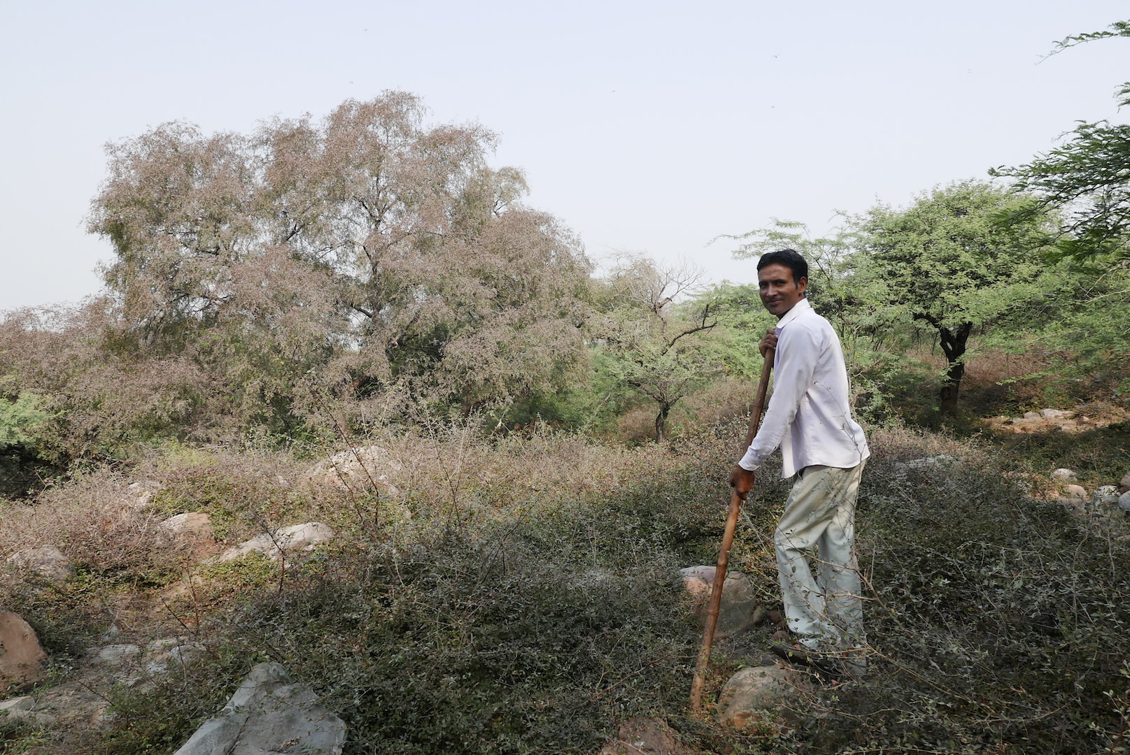Sunil Harsana, the Pied Piper of Mangar Bani Forest