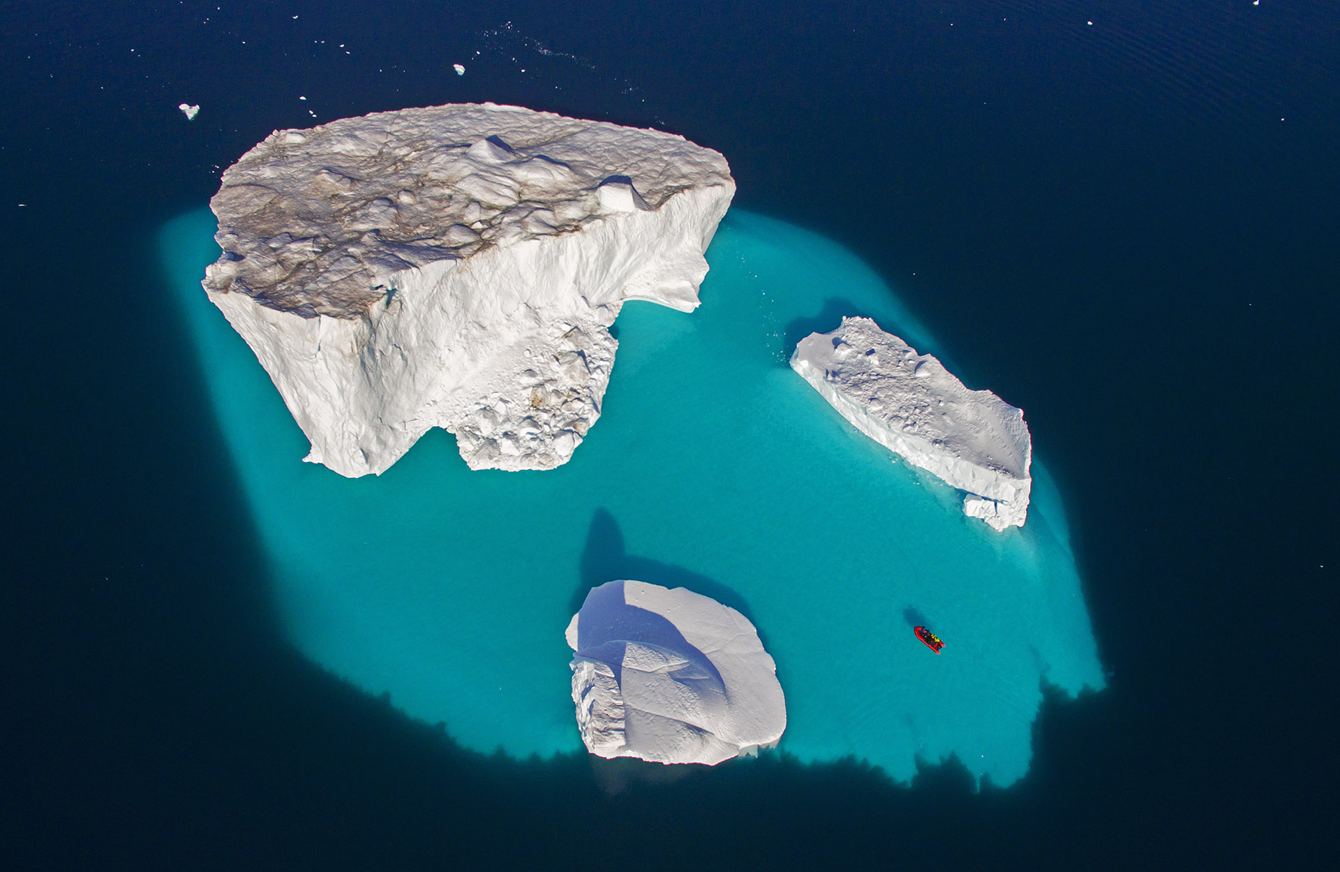 Icy Realm: The Cool Inhabitants of Greenland