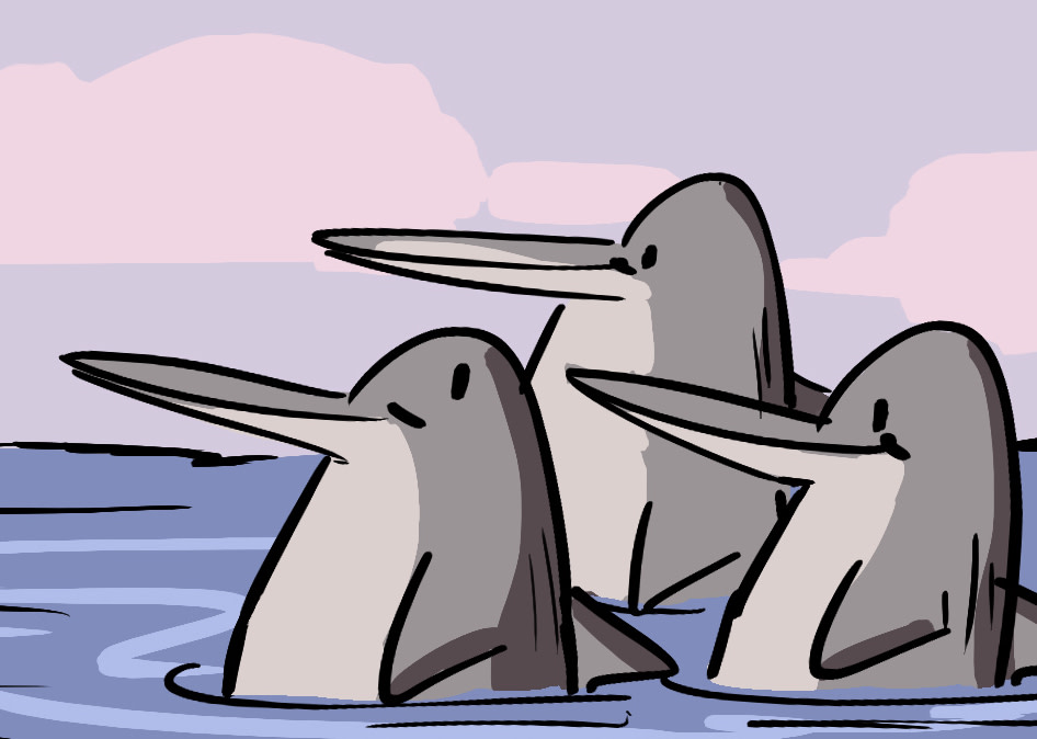 A Dolphin’s Coaching Classes