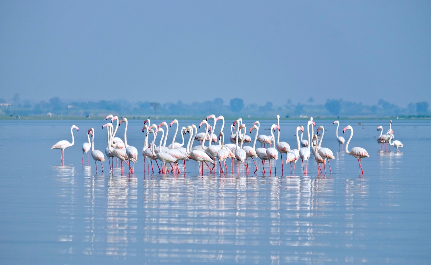 The Guide: The Backwater of Bhigwan