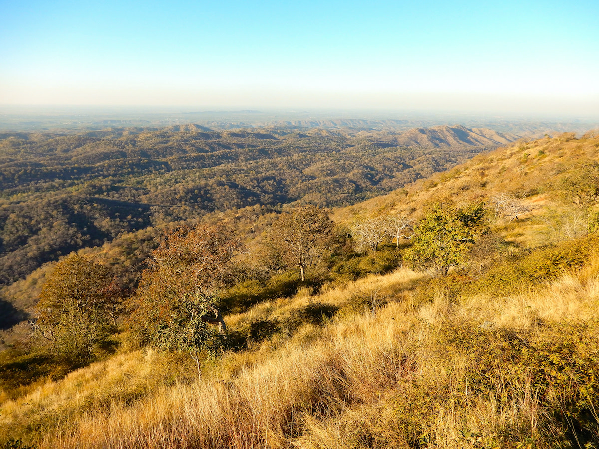 The Ecotone: The Todgarh-Raoli and Kumbhalgarh Sanctuaries of Rajasthan
