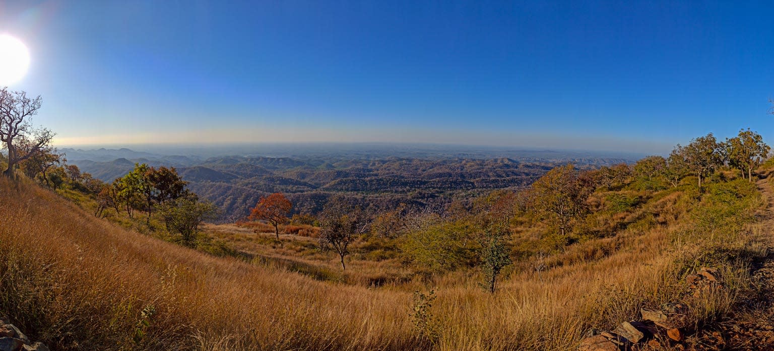 Myth and Reality in Rajasthan’s Sitamata Wildlife Sanctuary