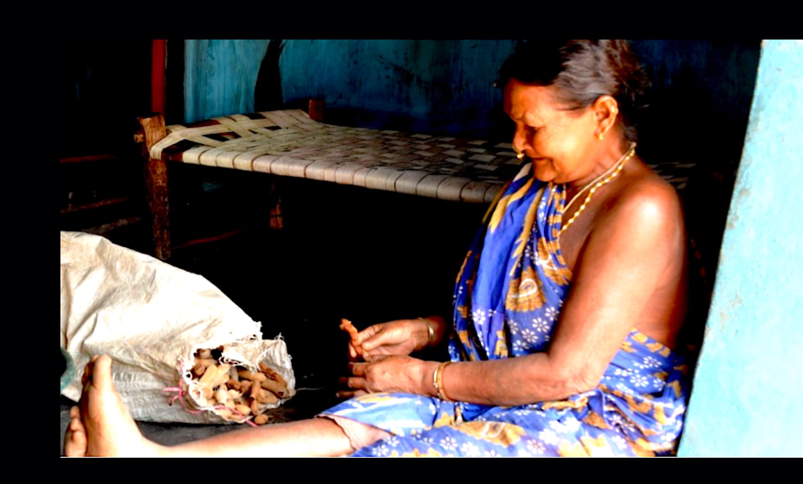 Tribal Districts in Odisha Lead the Way in Coexistence with Environment