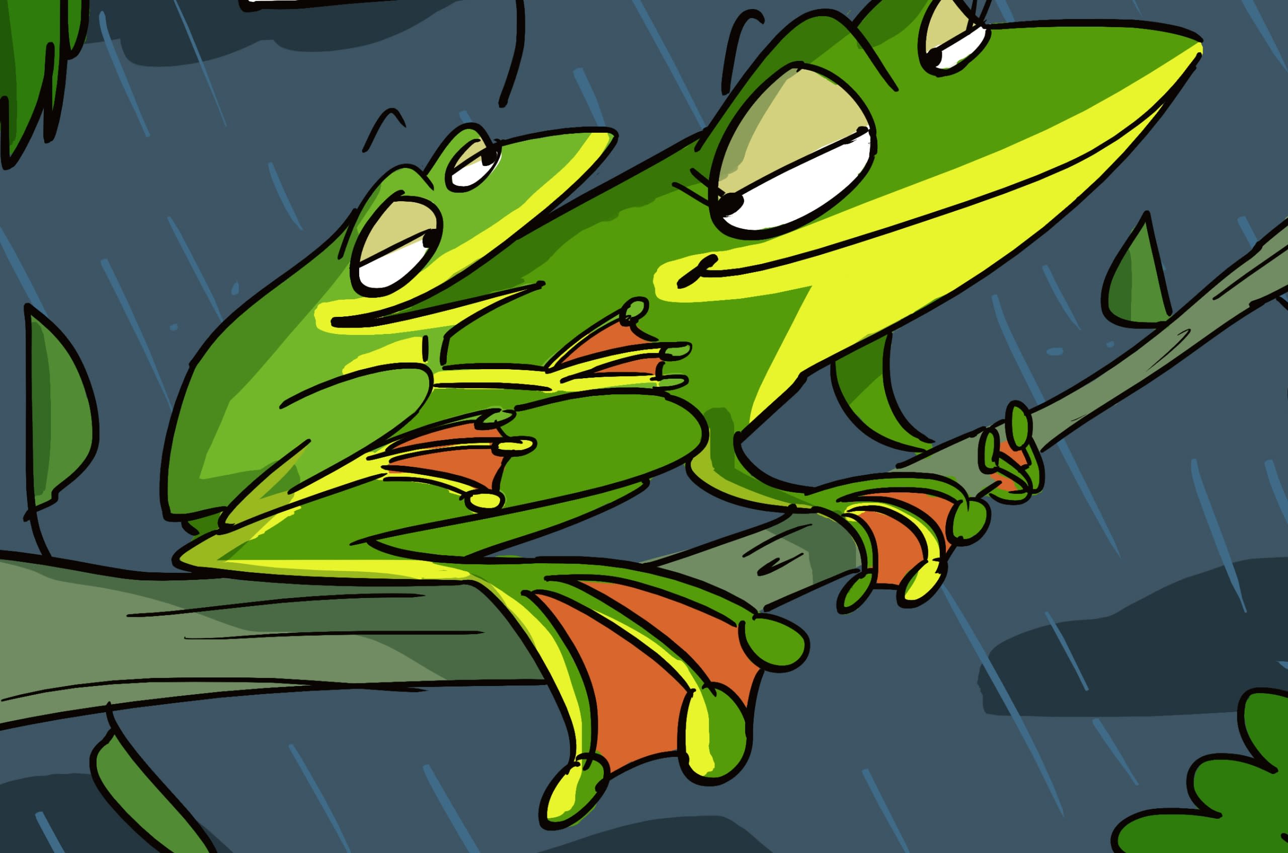 The Malabar Gliding Frog Likes Big Girls