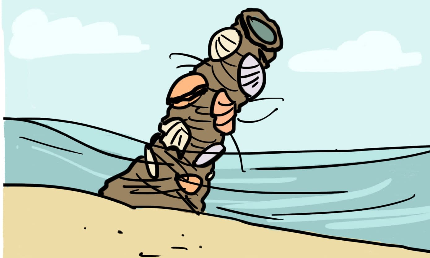 Meet the New Fashion Designer in Town: The Decorator Worm