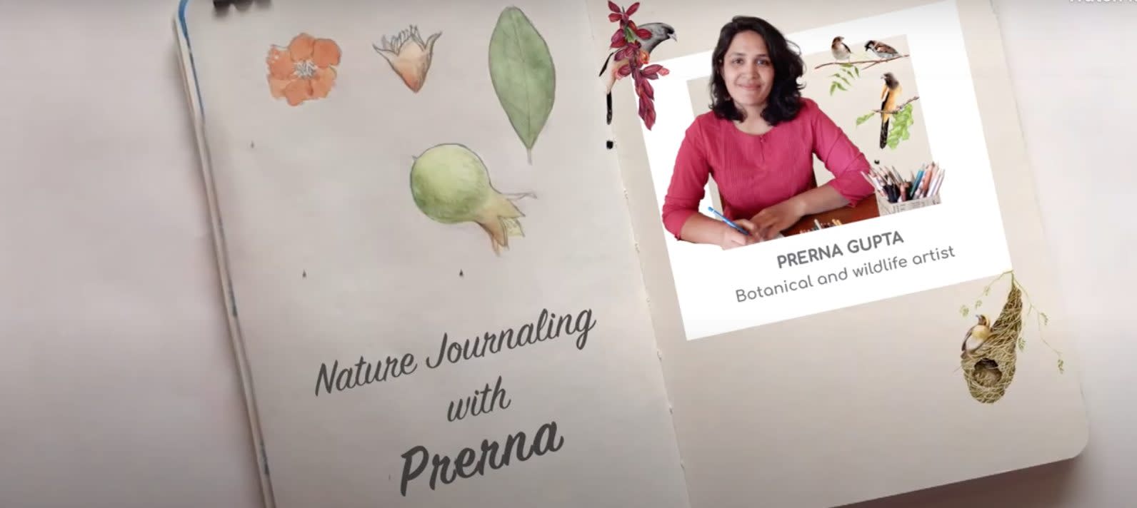 Nature Journaling with Prerna Gupta