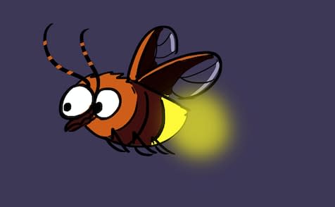 Fireflies have a Message for you this Diwali