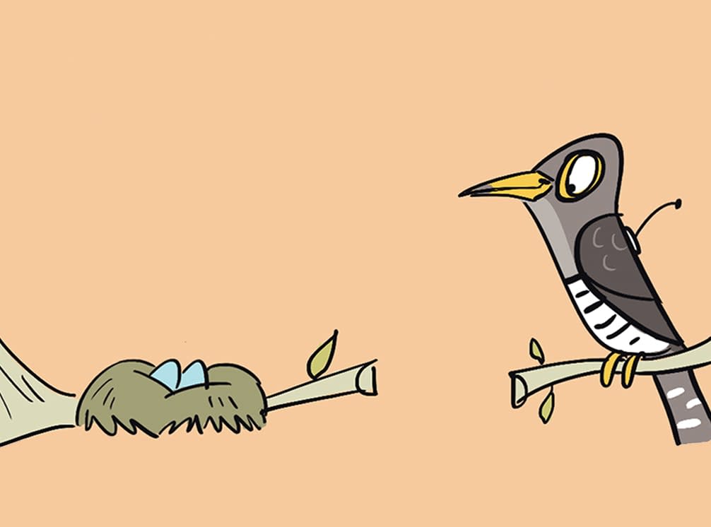 Tricks and Tips from a Record-Setting Cuckoo’s Handbook