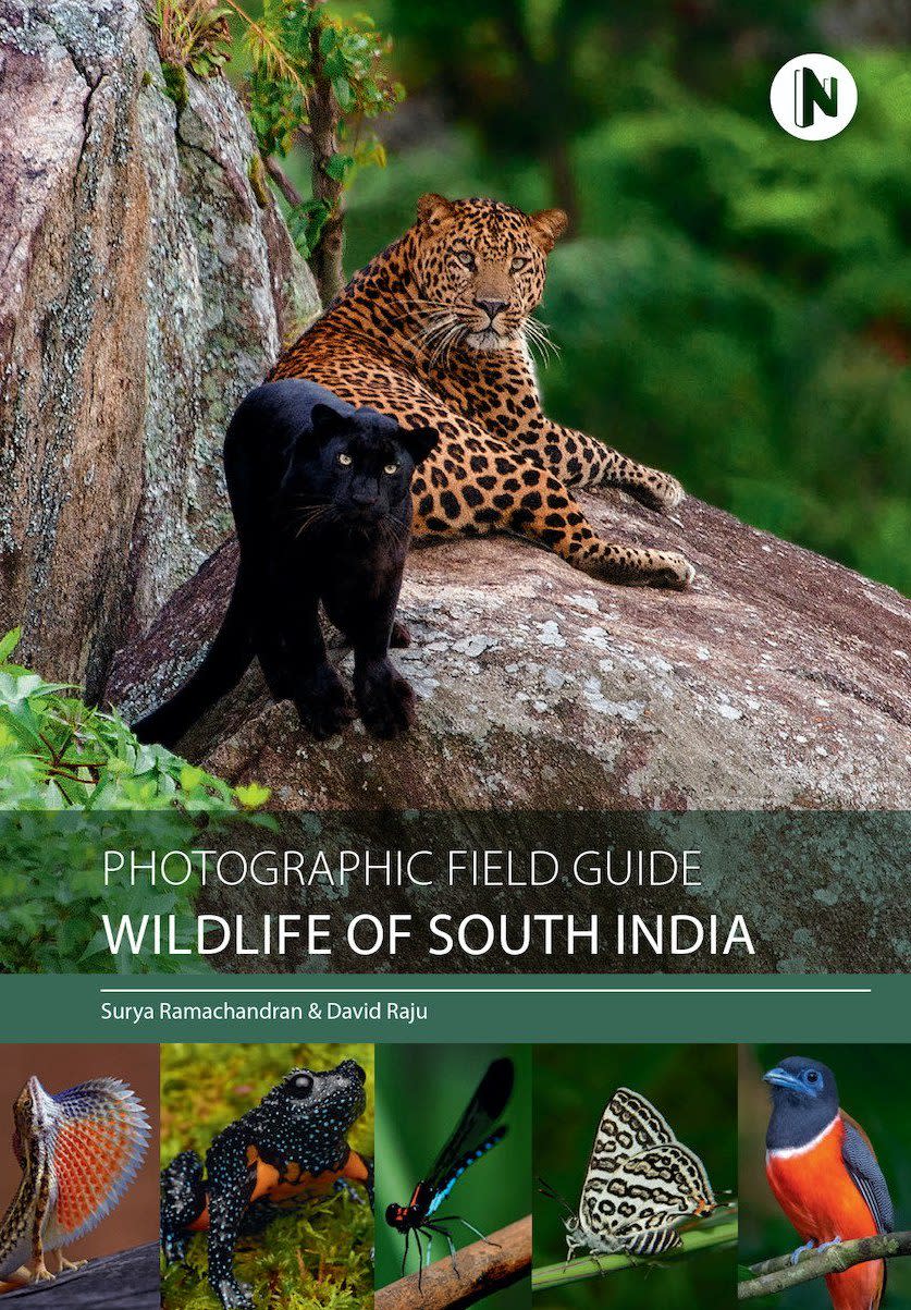 The Wild Stars of South India