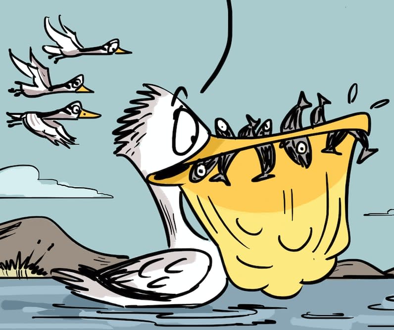 The Early Bird Prepares for Lockdown