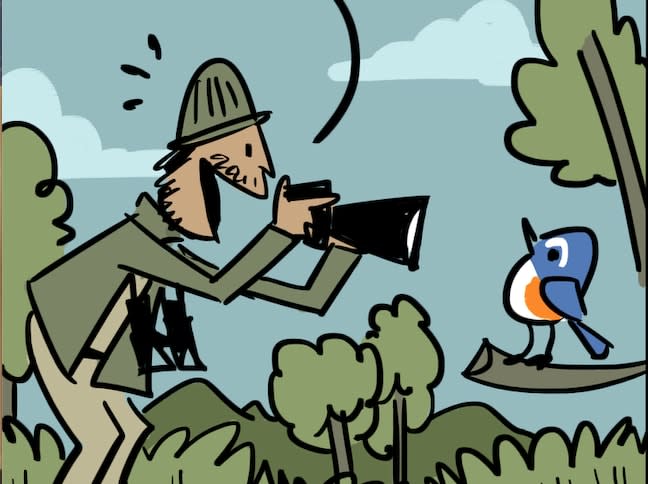 New Bird on the Block: Red-Flanked Bluetail