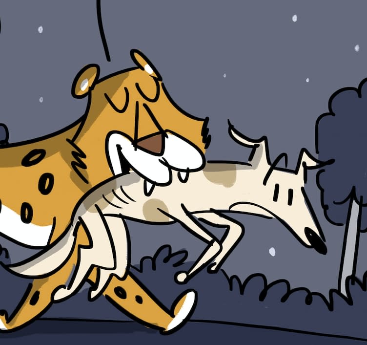 Leopards to the Rescue!
