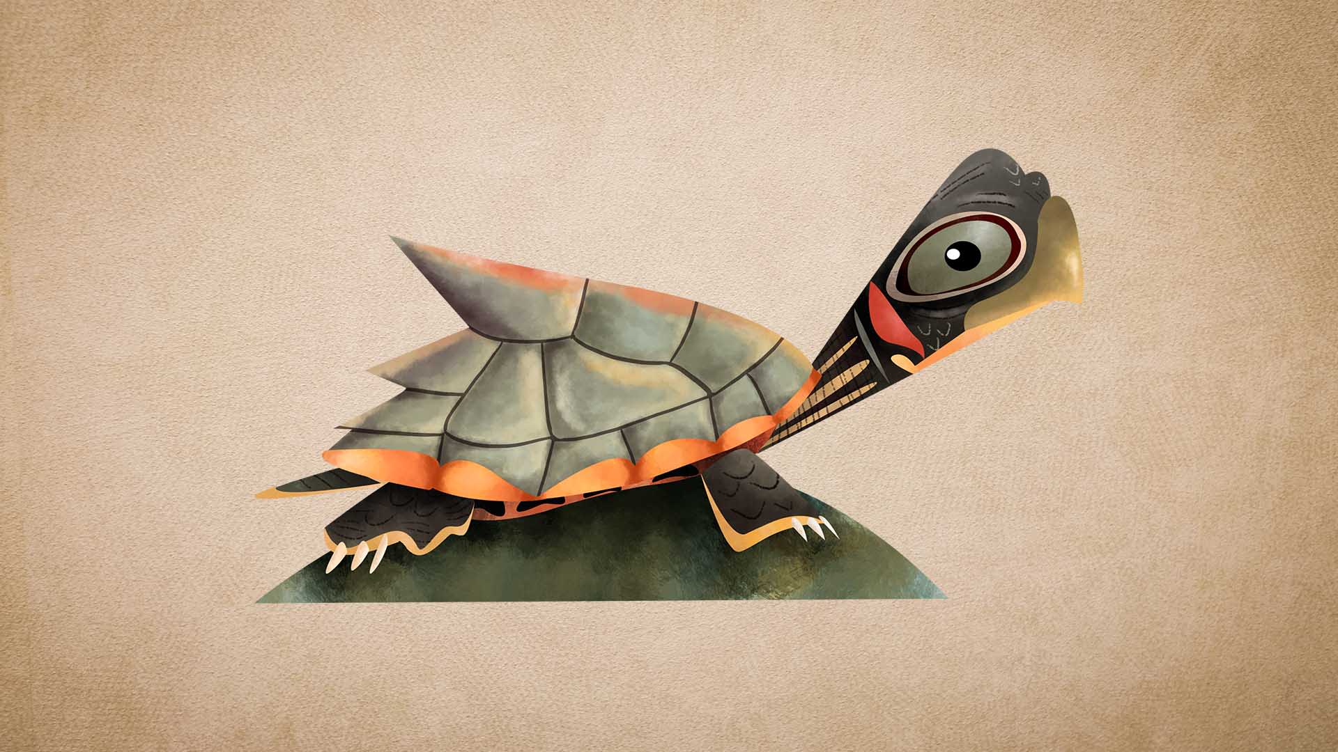 Assam Roofed Turtle: Facts, Habitat, Threats