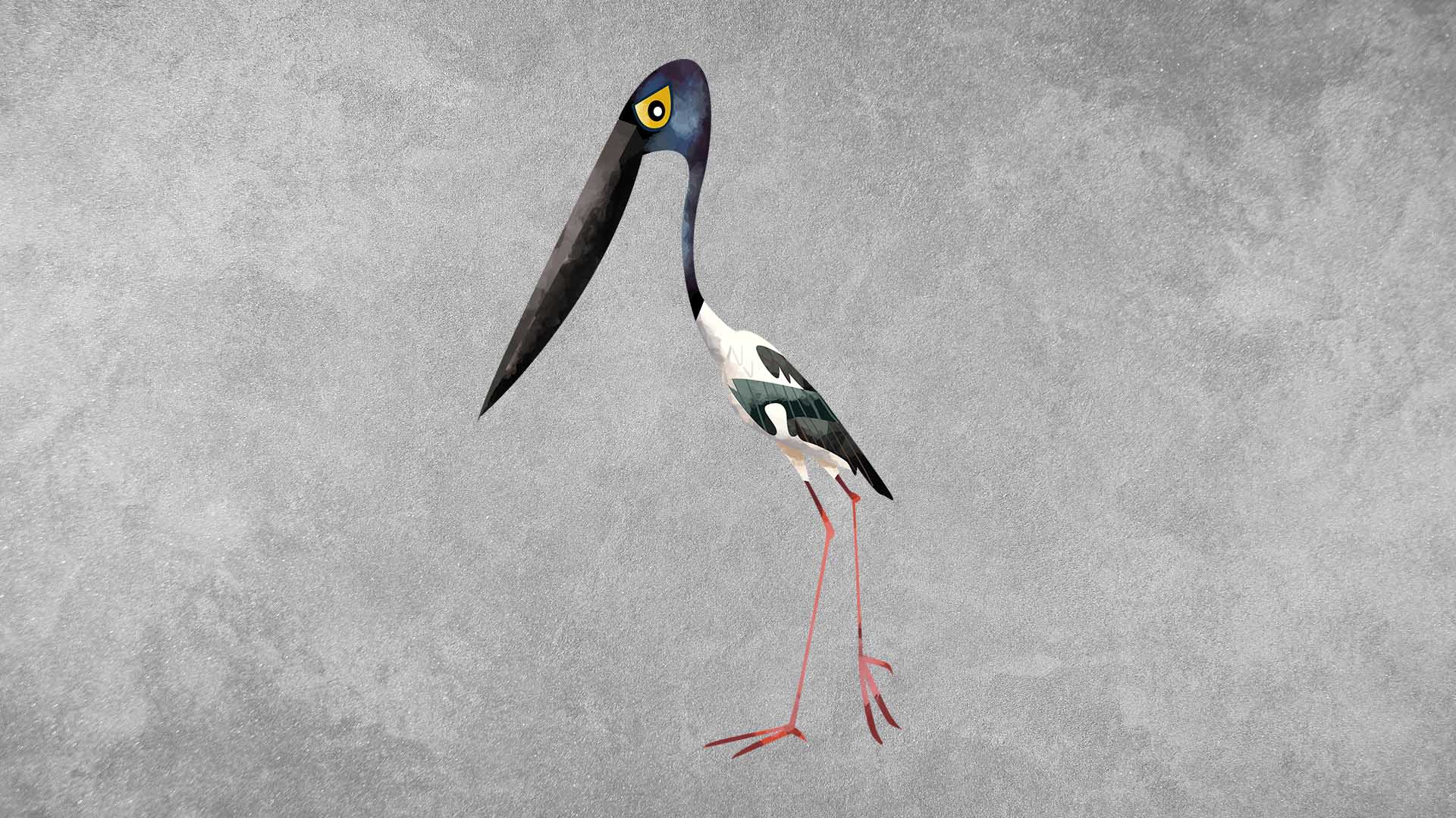 Black-necked Stork: Facts, Threats, Habitat