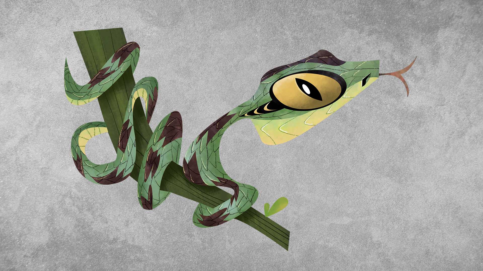 Malabar Pit Viper: Facts, Venom, Size