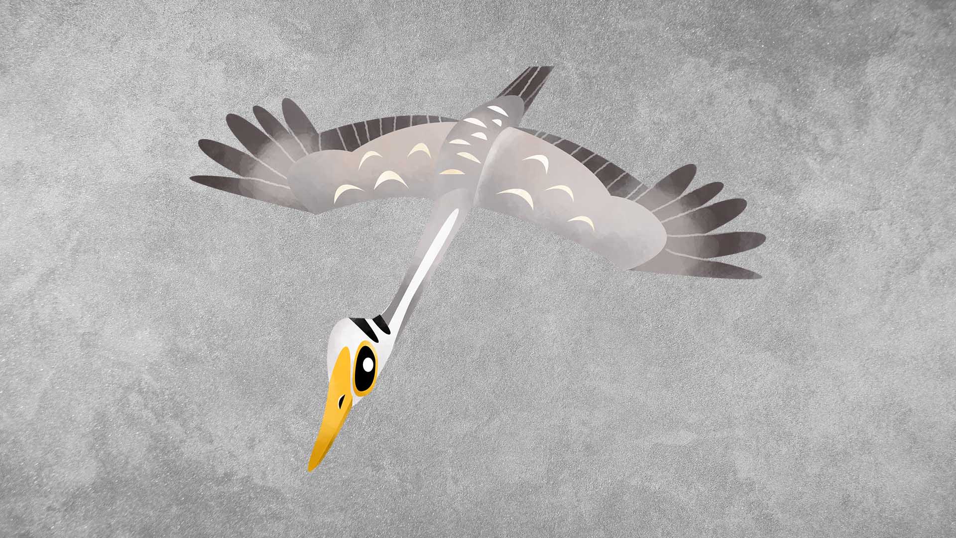Bar-headed Goose: Facts, Habitat, Migration