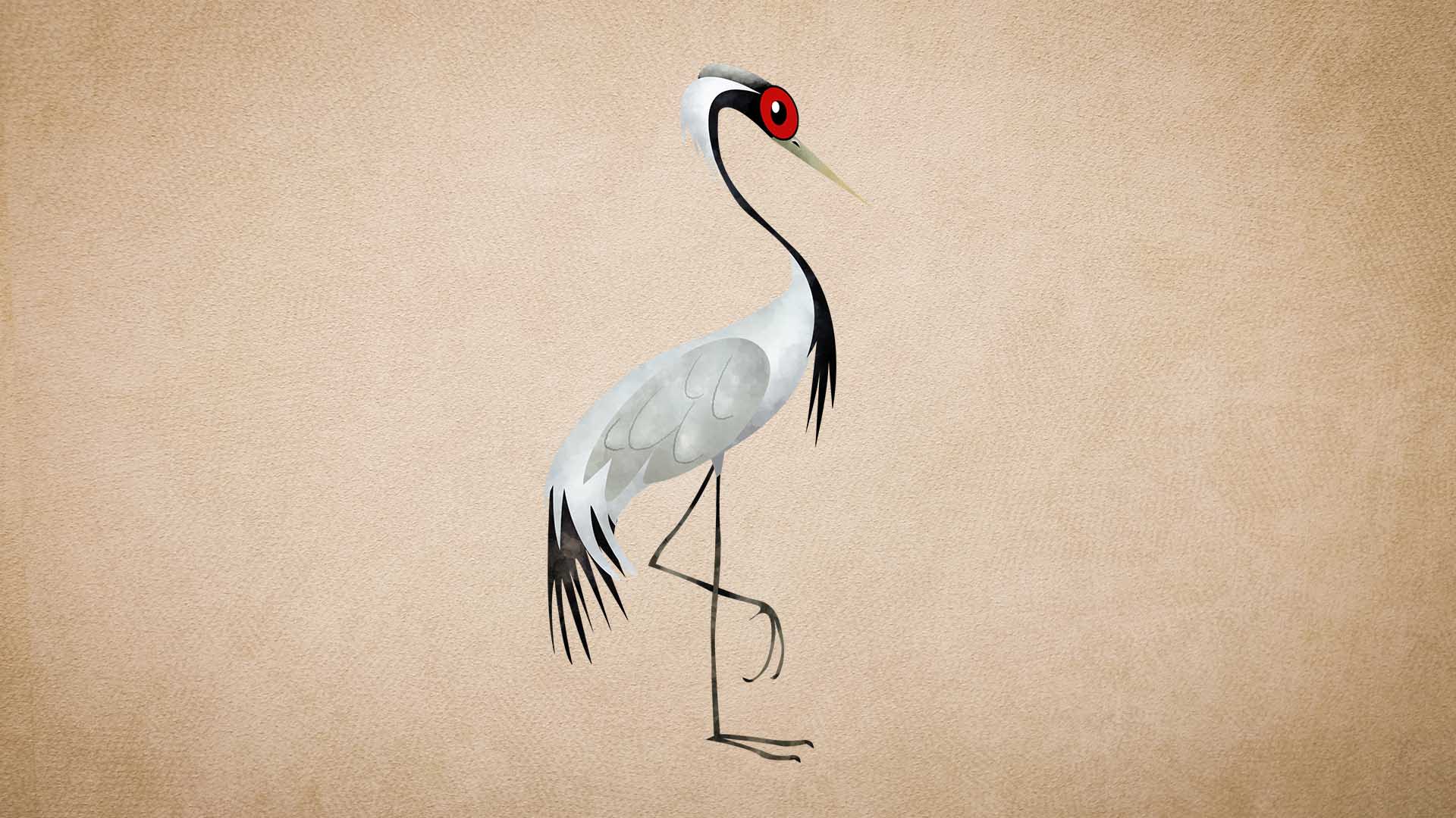 Demoiselle Crane: Facts, Diet, Flight