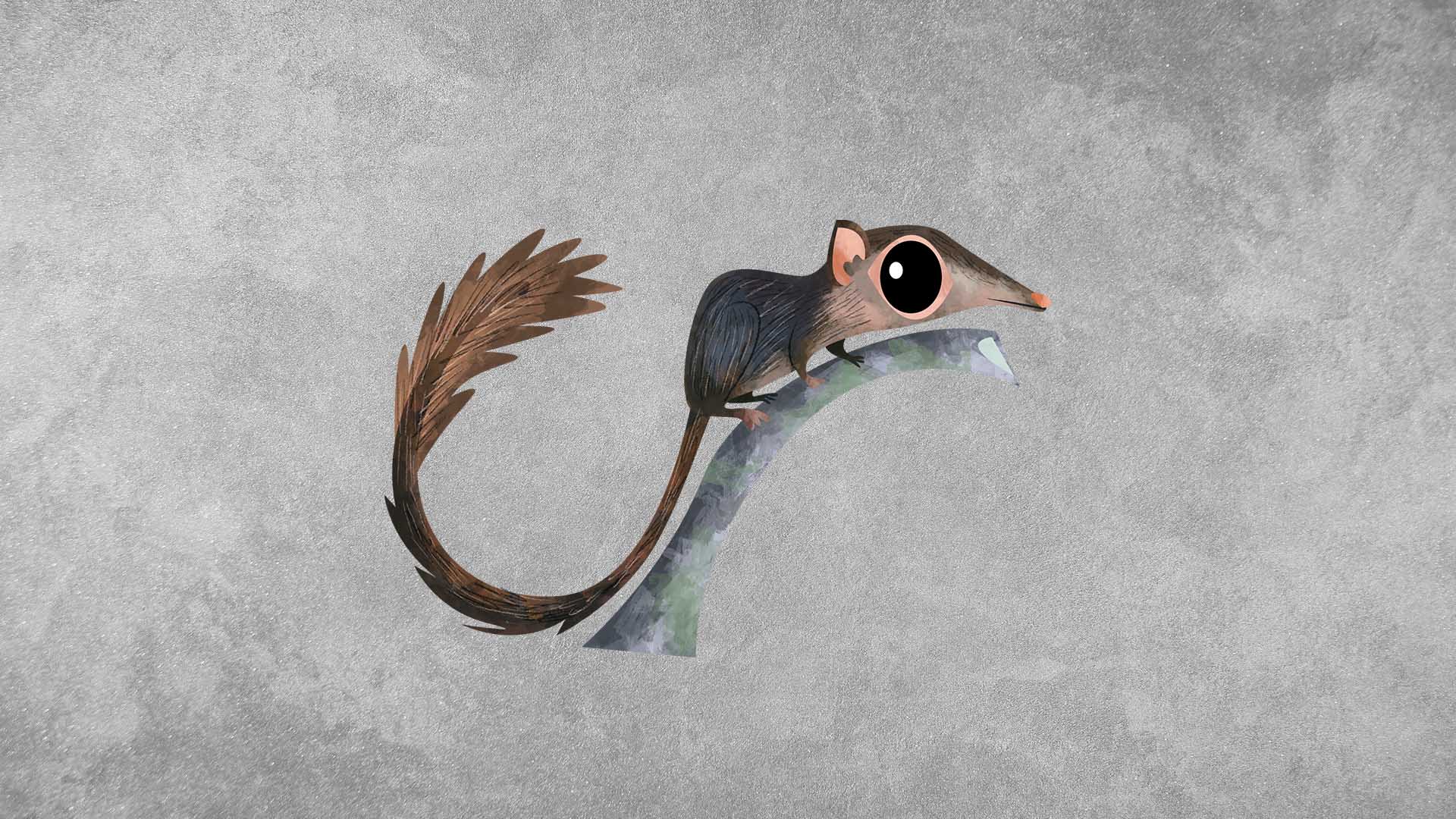 Nicobar Treeshrew: Facts, Habitat, Threats