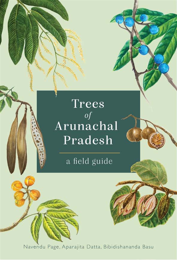 The Woody Wonders of Arunachal Pradesh and How to Identify Them