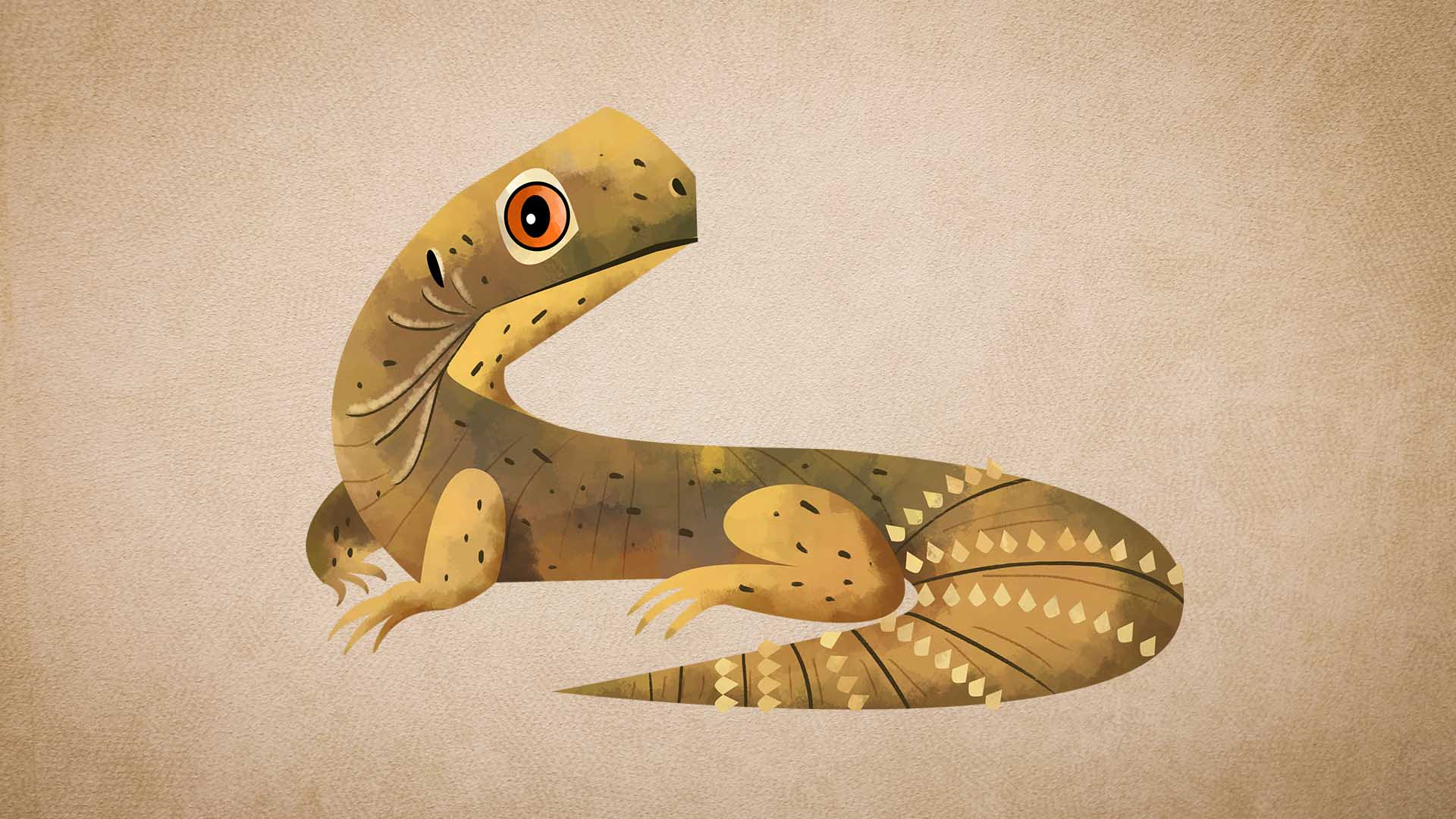Spiny‑tailed Lizard: Facts, Size, Habitat