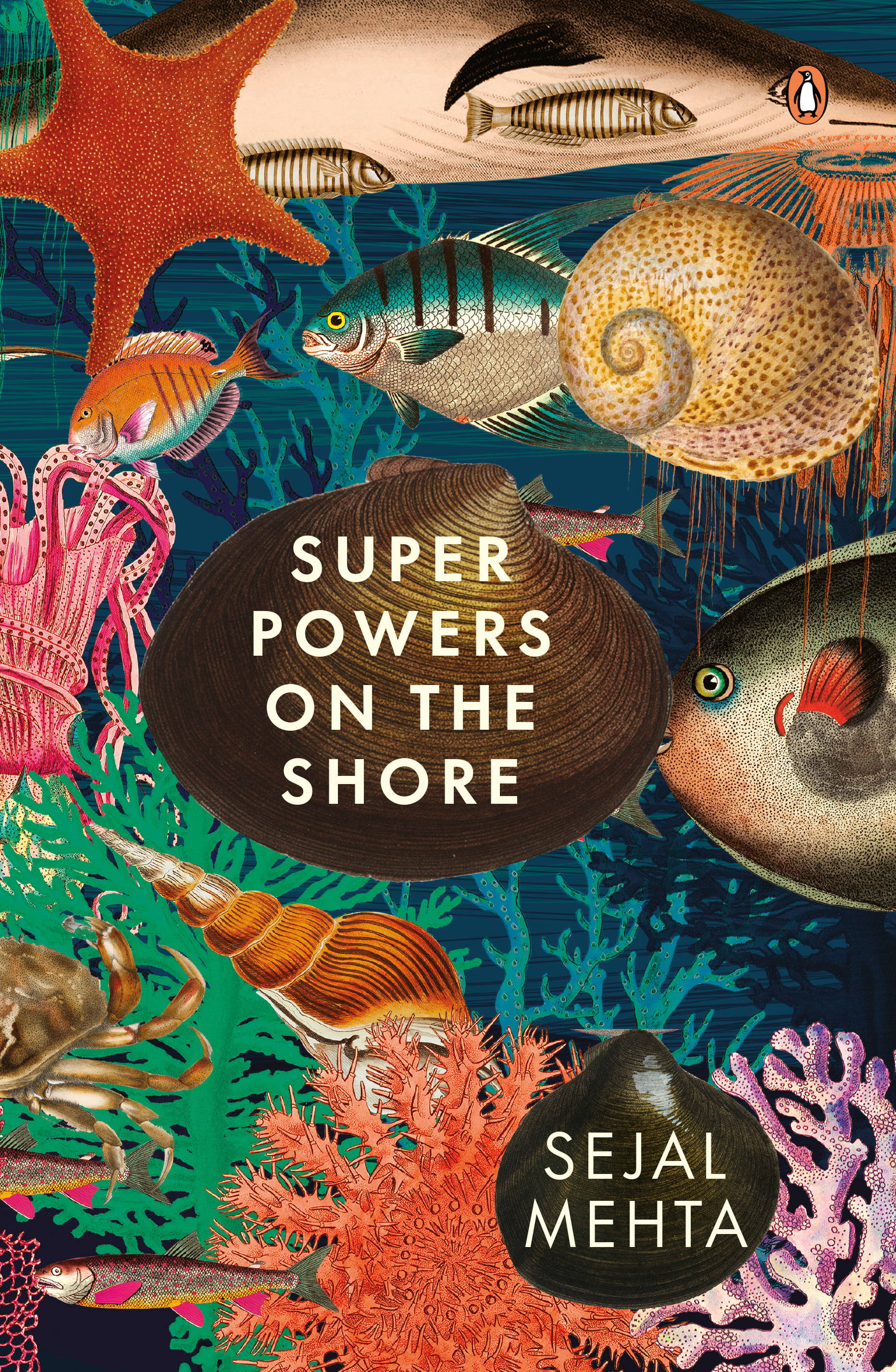Through the Magic Portal, to a World of Marine Superheroes