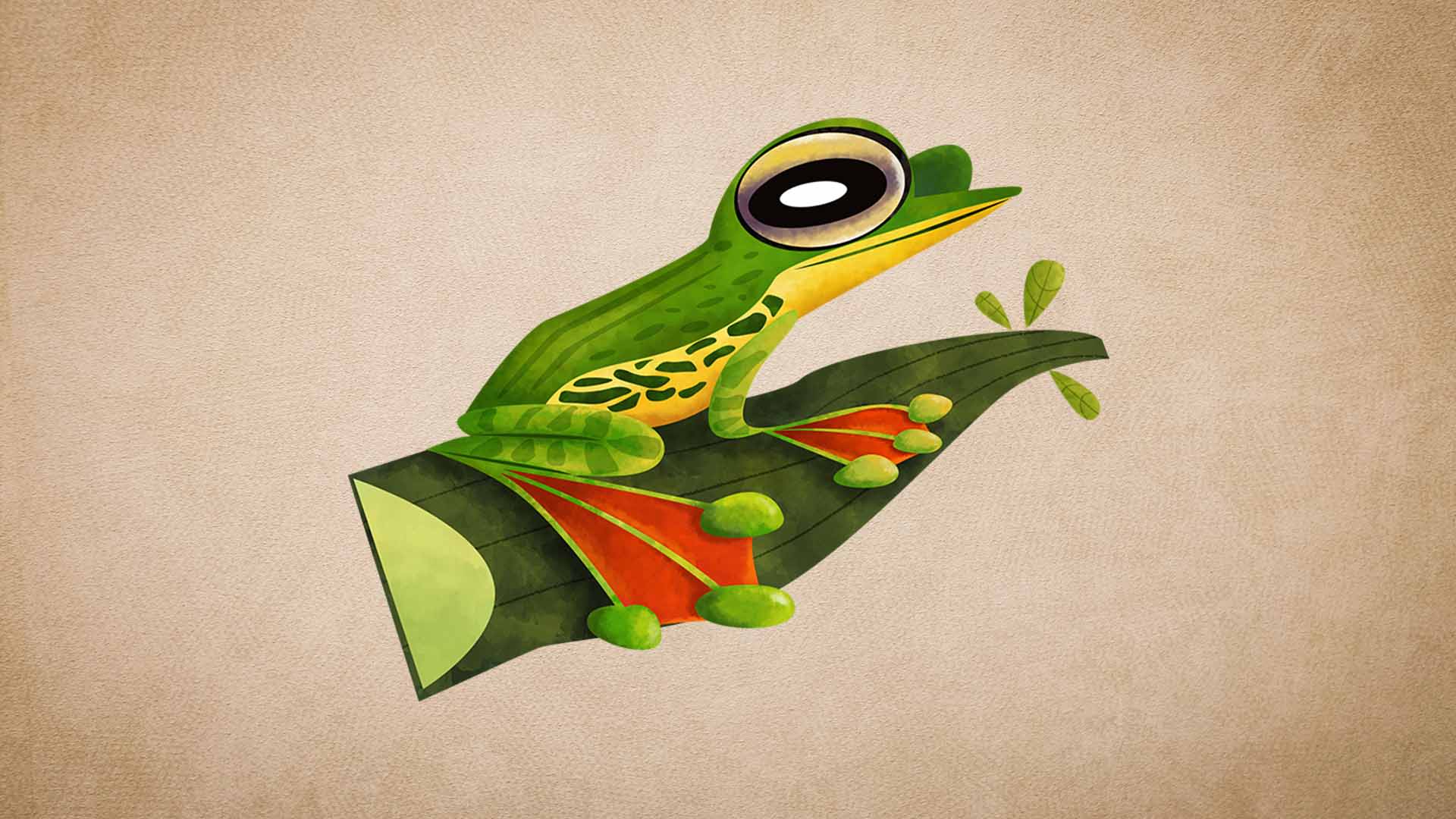 Malabar Gliding Frog: Habitat, Breeding, Threats