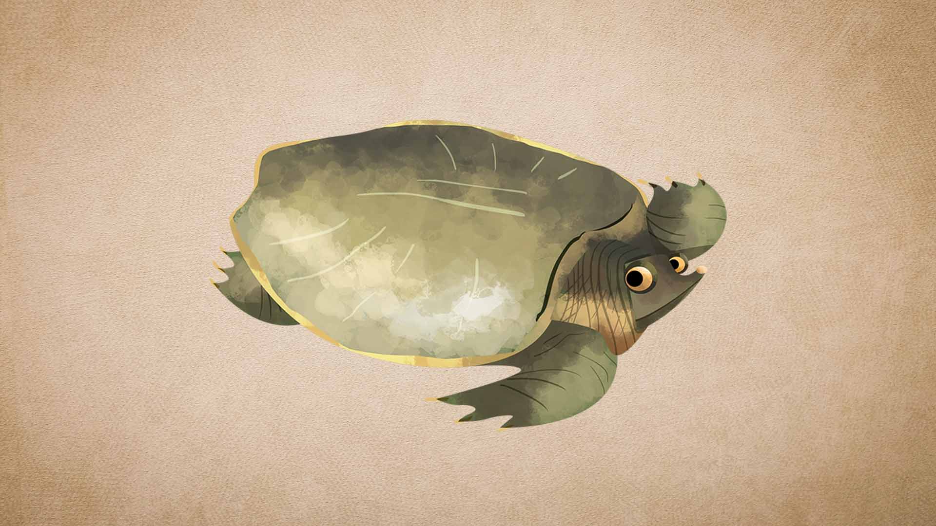 Cantor's Giant Softshell Turtle: Habitat, Breeding, Conservation Efforts