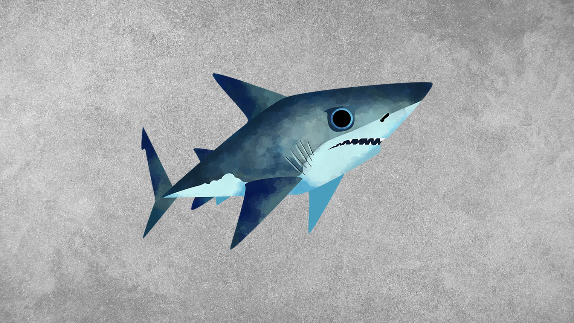 Sharks: Facts, Jaws, Threats