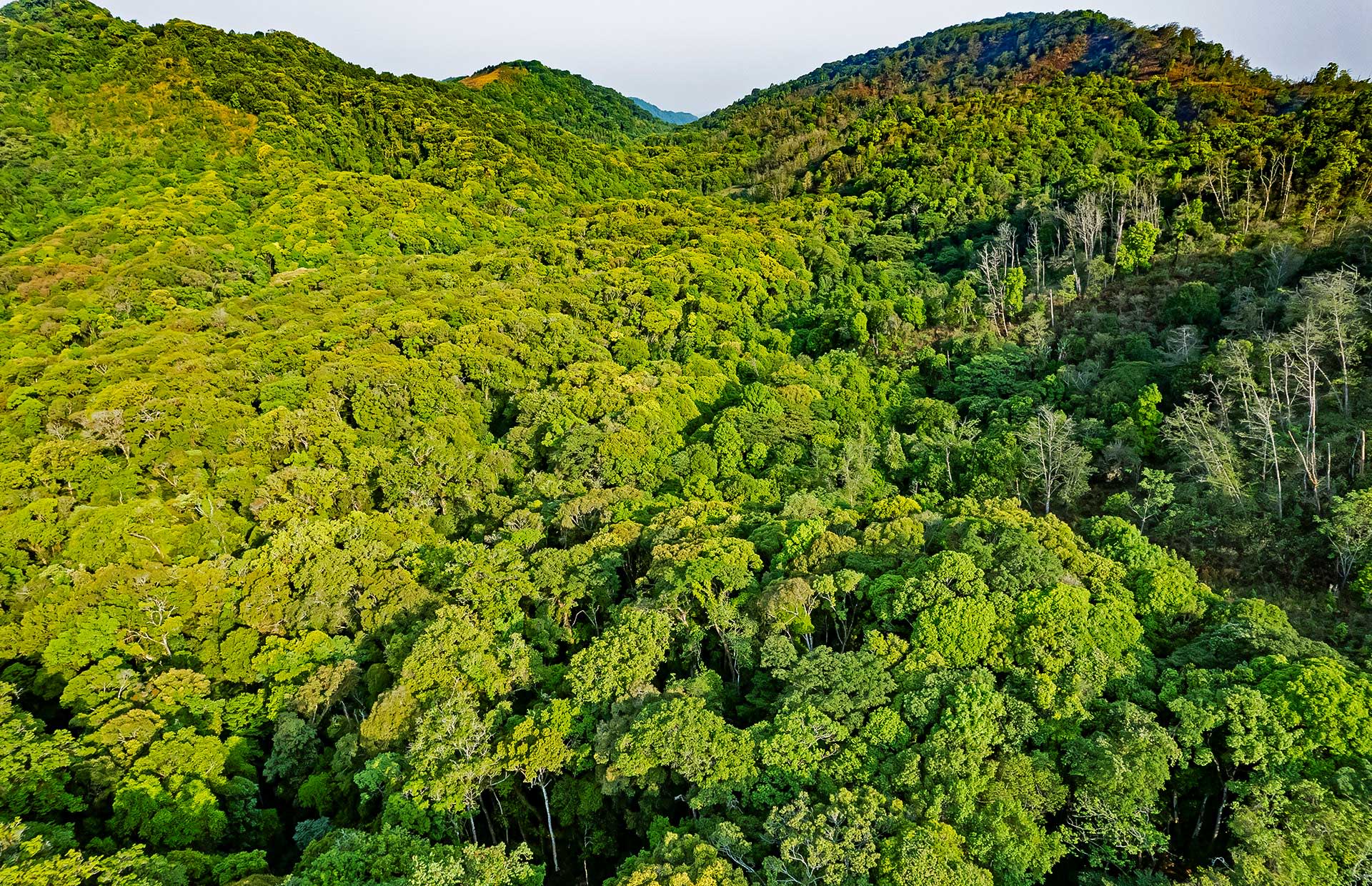Murlen National Park 