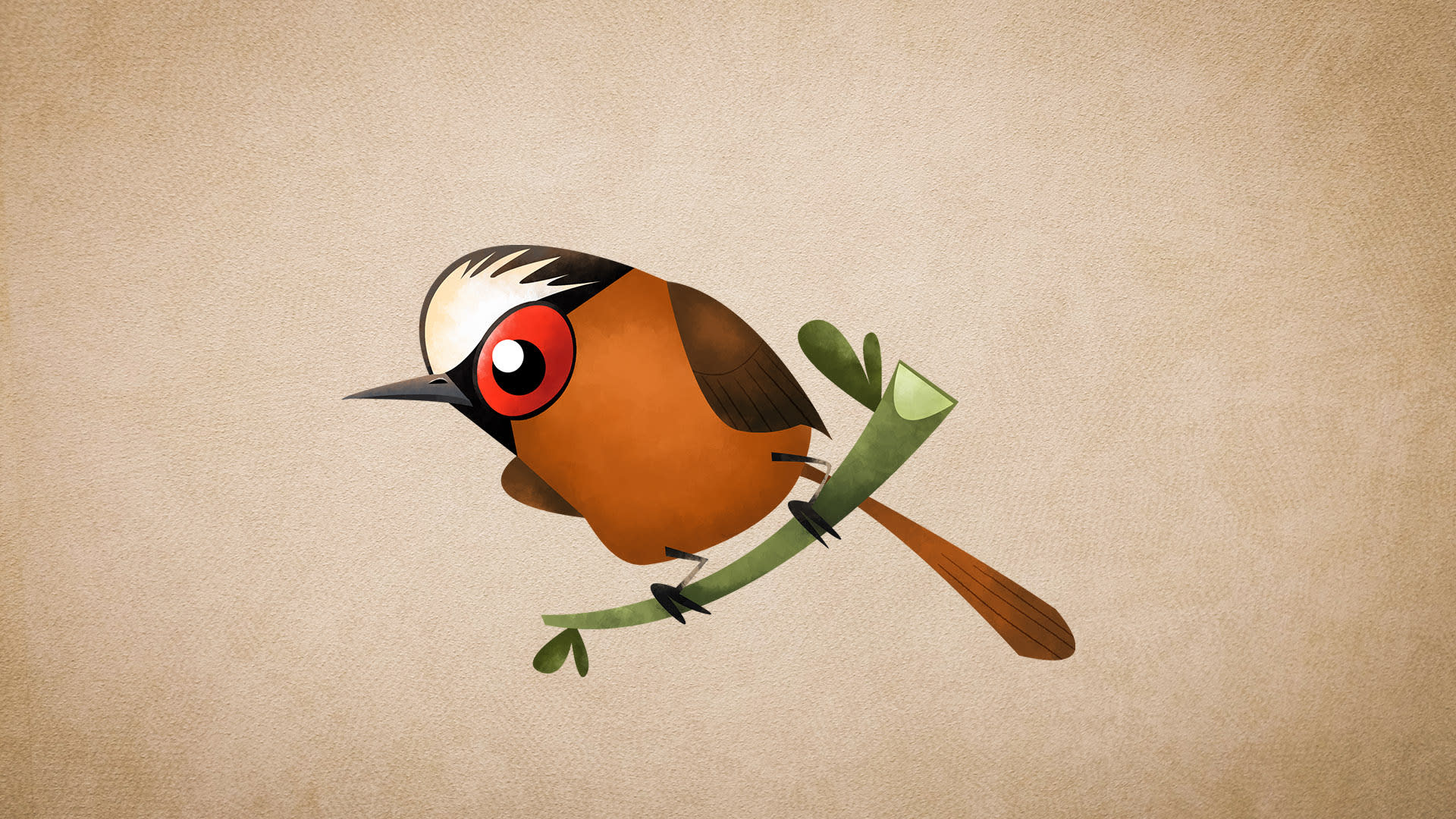 Nilgiri Laughingthrush: Habitat, Calls, Nests