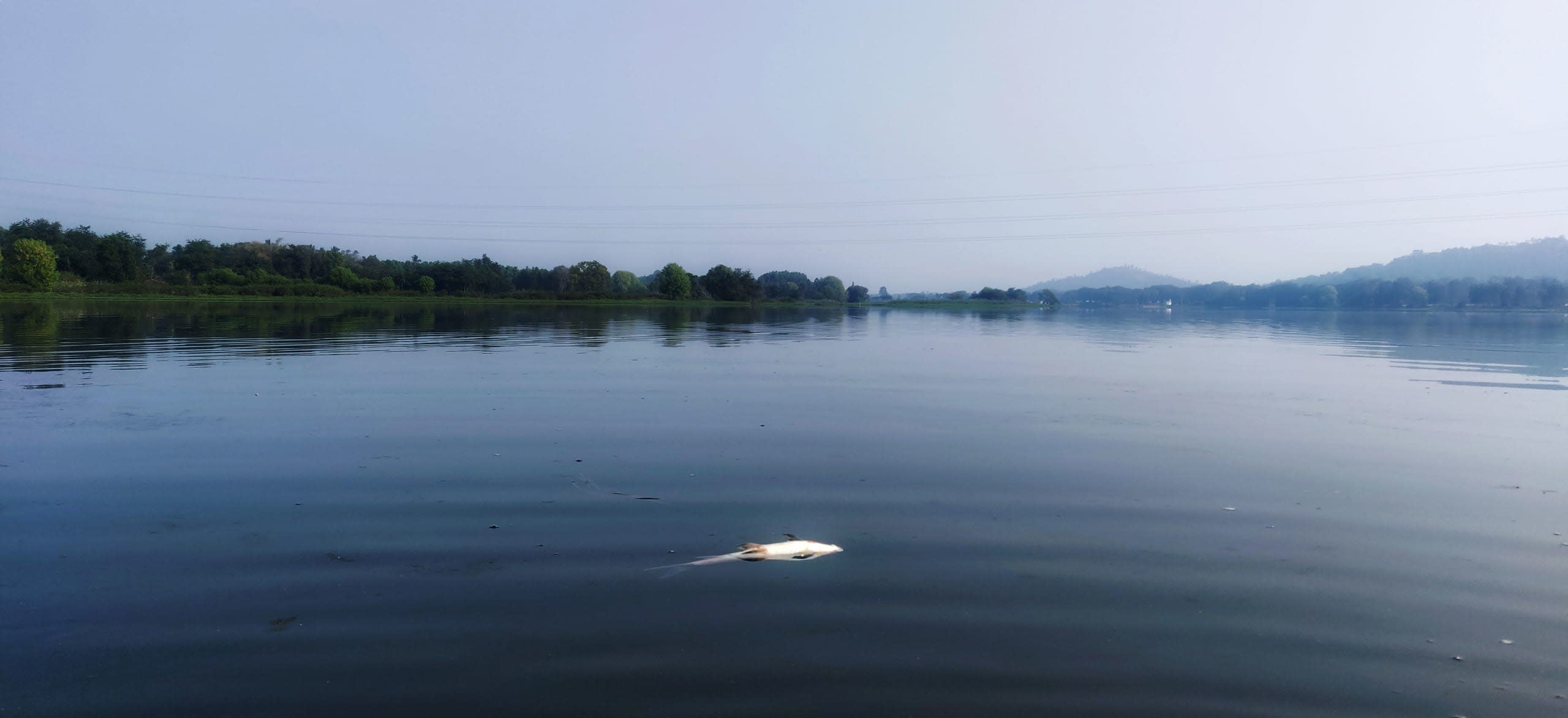 Dying River: Declining Water Quality and Fish Stocks on the Cauvery