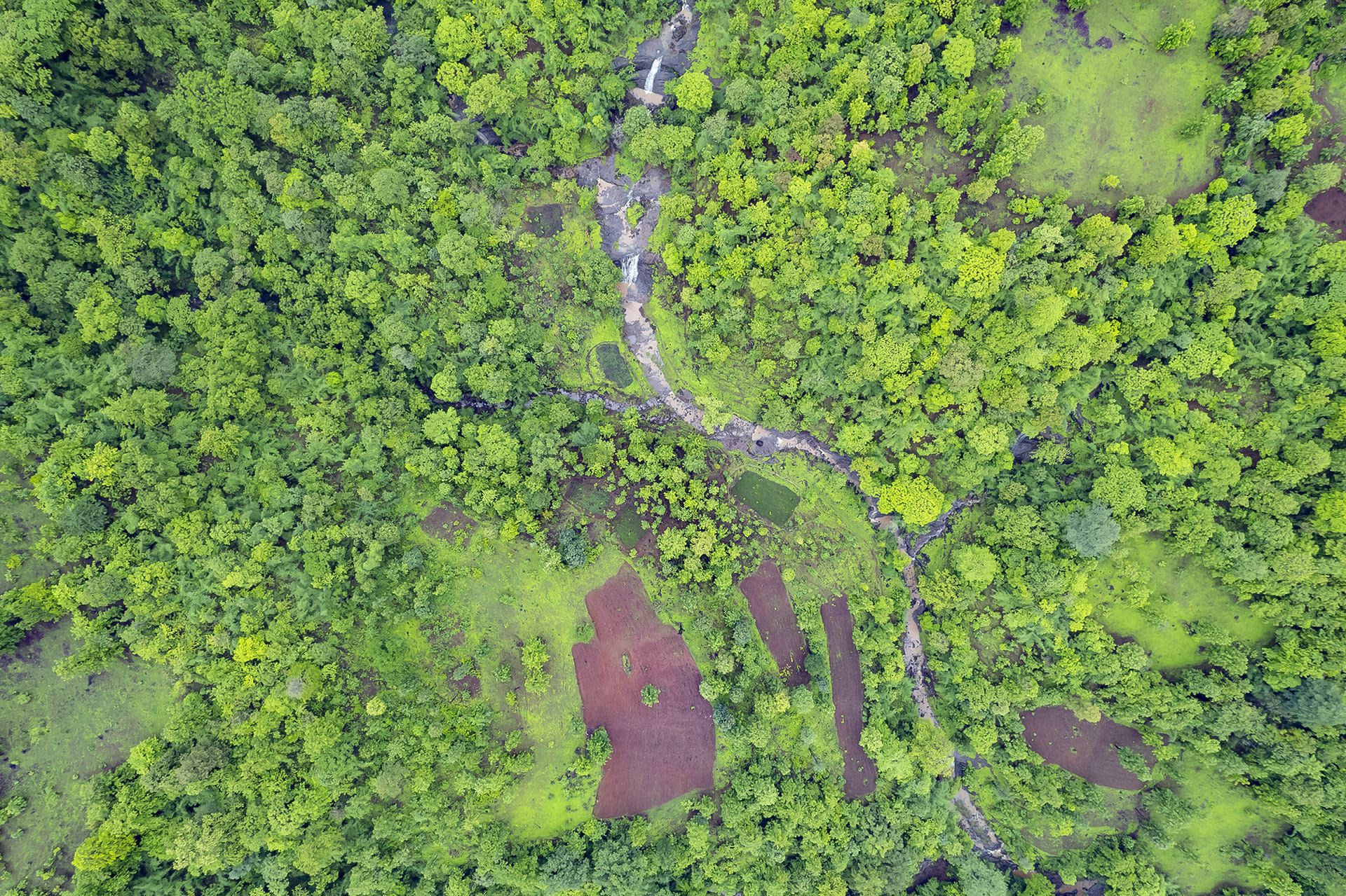The Guide: Vansda National Park, Gujarat