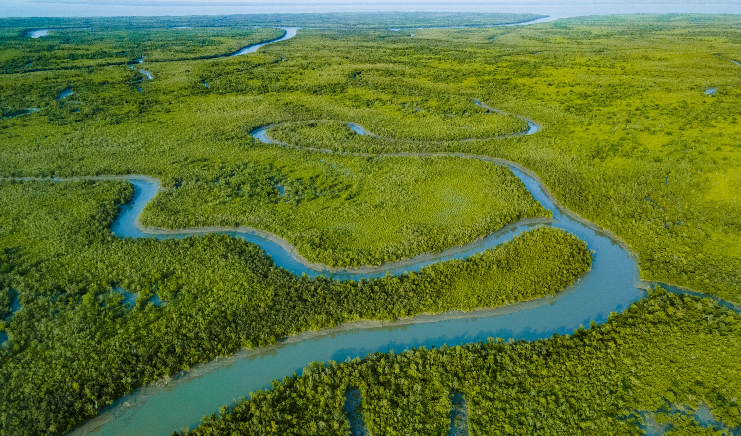 Sundarbans