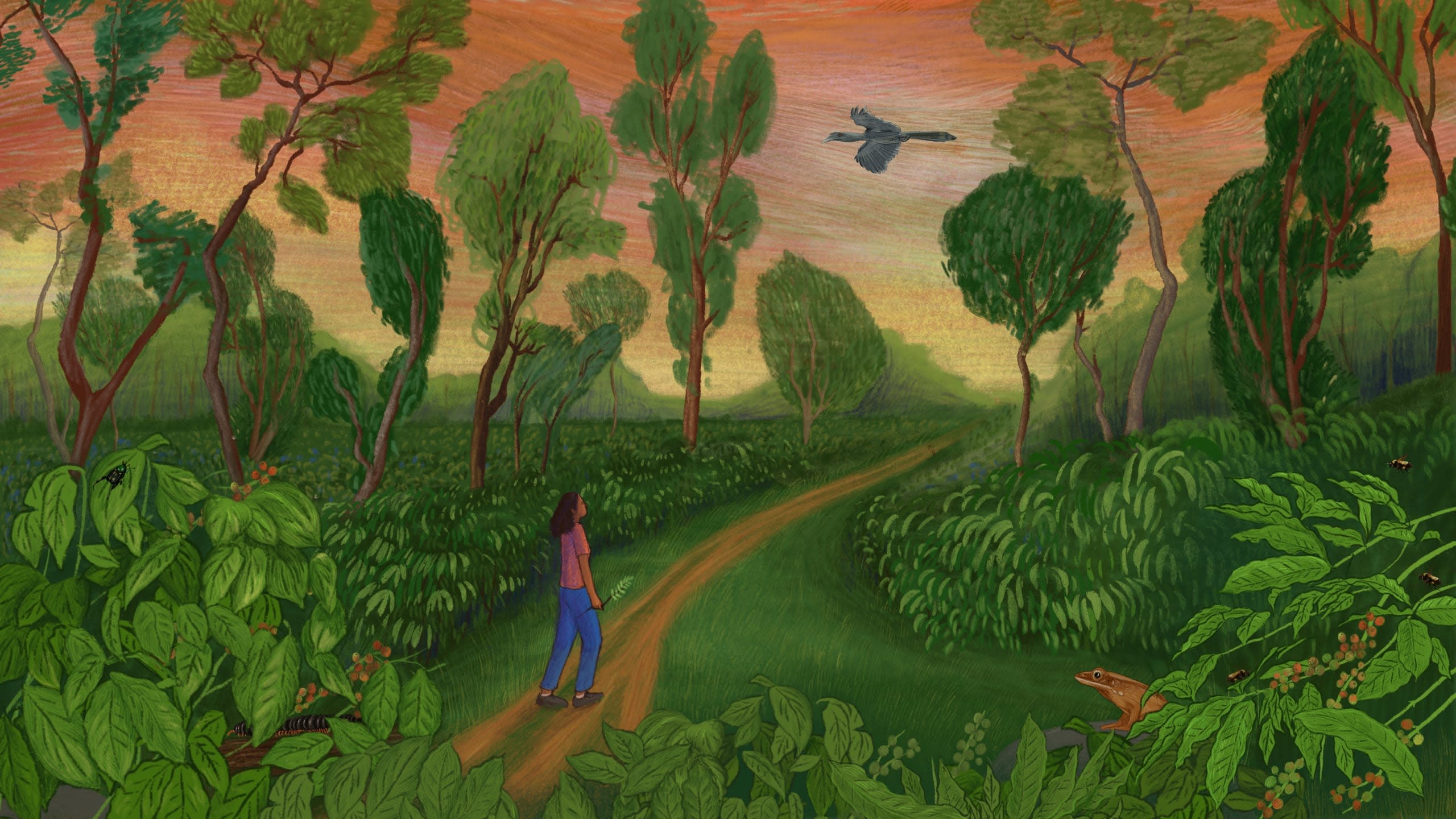 Signs of Solace: Grieving in Nature