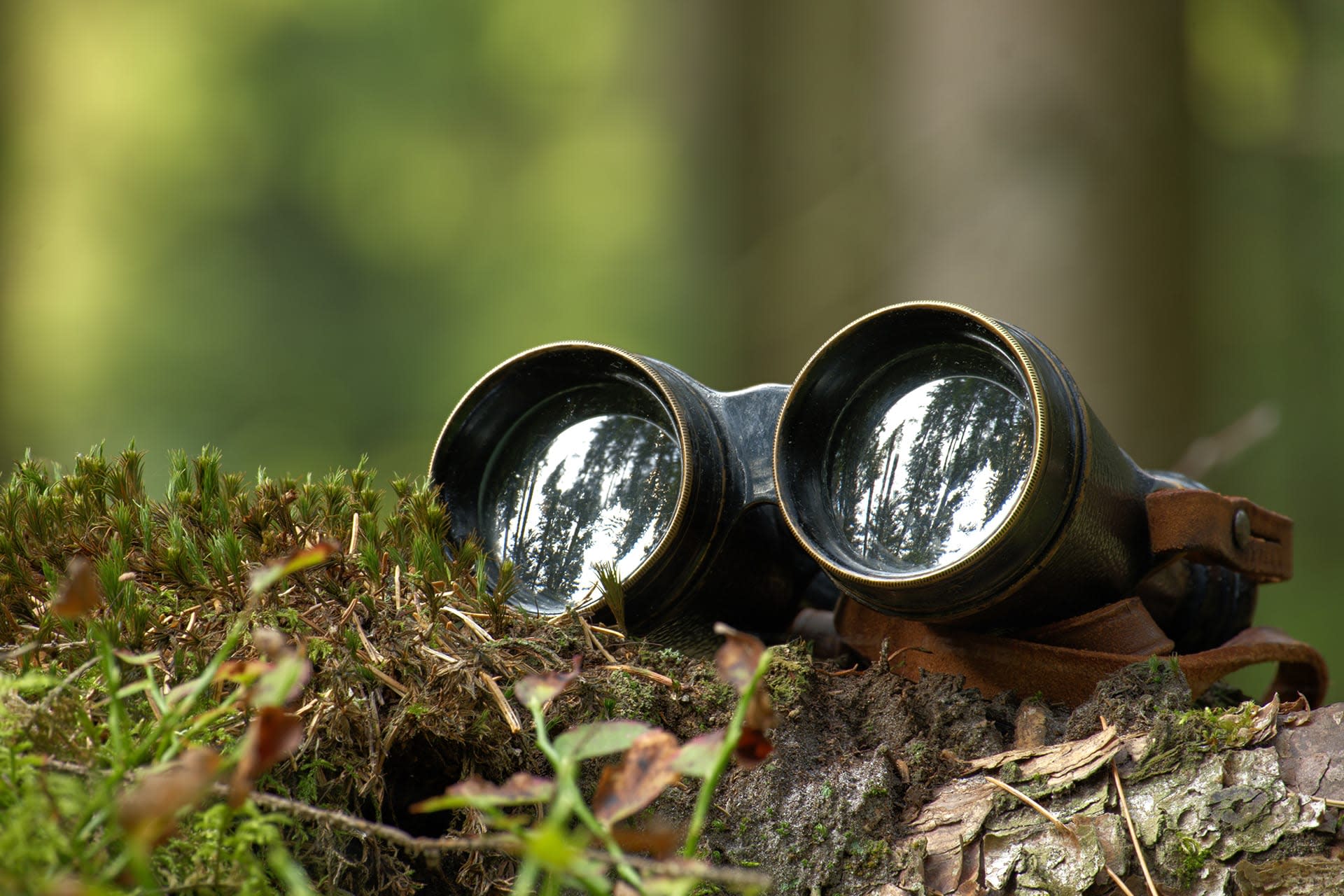 Binoculars
