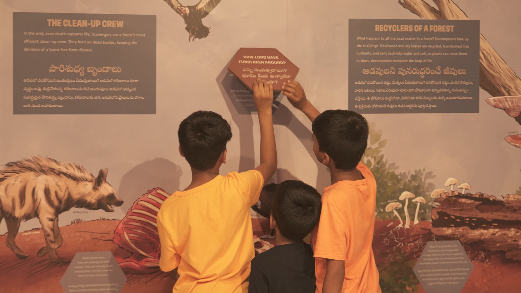 Virtual Tour: Eastern Ghats Biodiversity Centre, Visakhapatnam