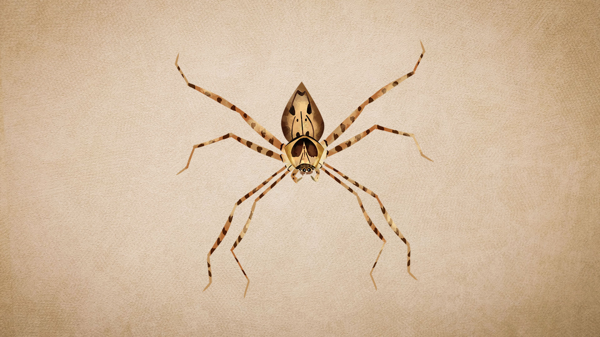 Huntsman Spiders: Facts, Habitat, Ecological Role
