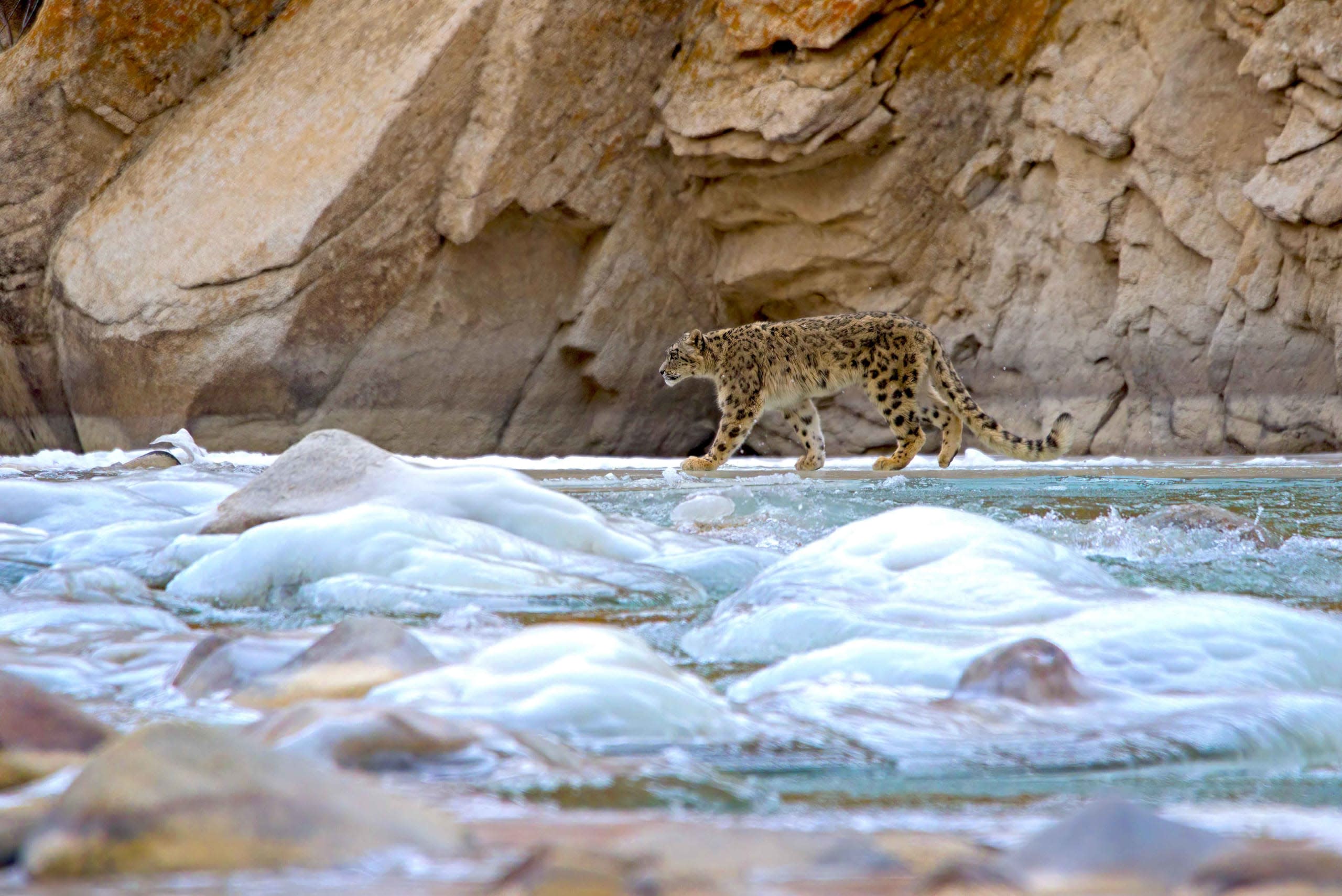 Sher Dariya: The Mighty Indus River