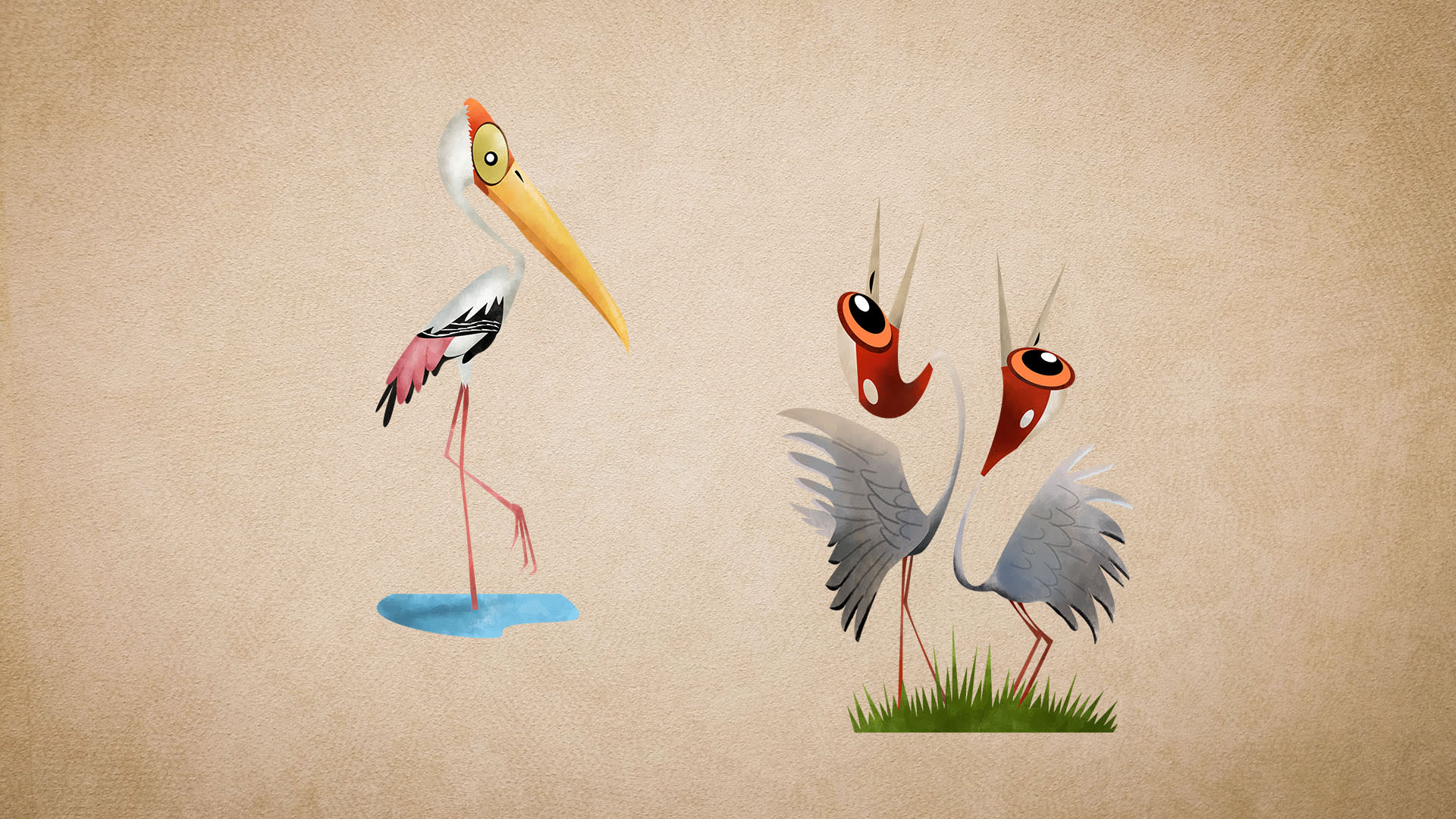 Cranes and Storks: What's the Difference